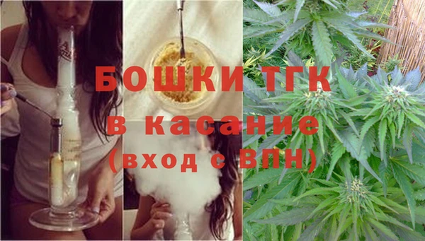 стафф Аркадак