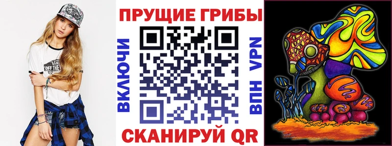 Псилоцибиновые грибы прущие грибы  Голицыно 